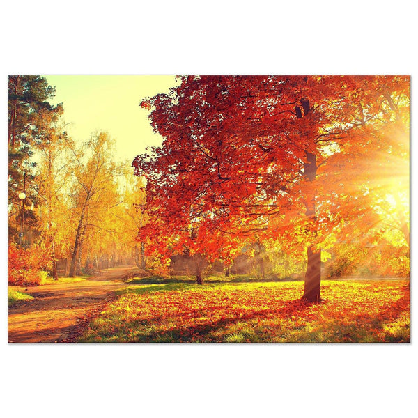 Canvas Tavla - Autumn Afternoon Wide-Tavla Canvas-Artgeist-peaceofhome.se