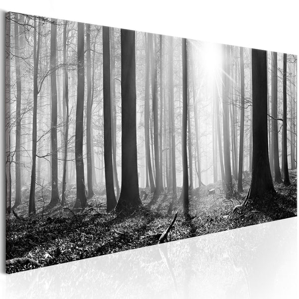 Canvas Tavla - Black and White Forest-Tavlor-Artgeist-peaceofhome.se