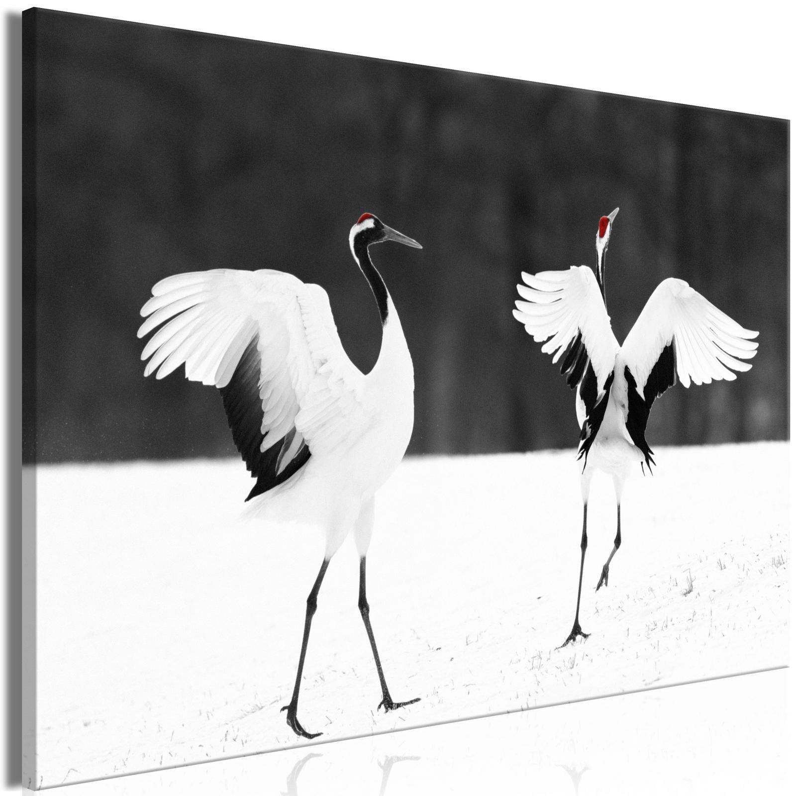 Canvas Tavla - Dancing Cranes Wide-Tavla Canvas-Artgeist-peaceofhome.se