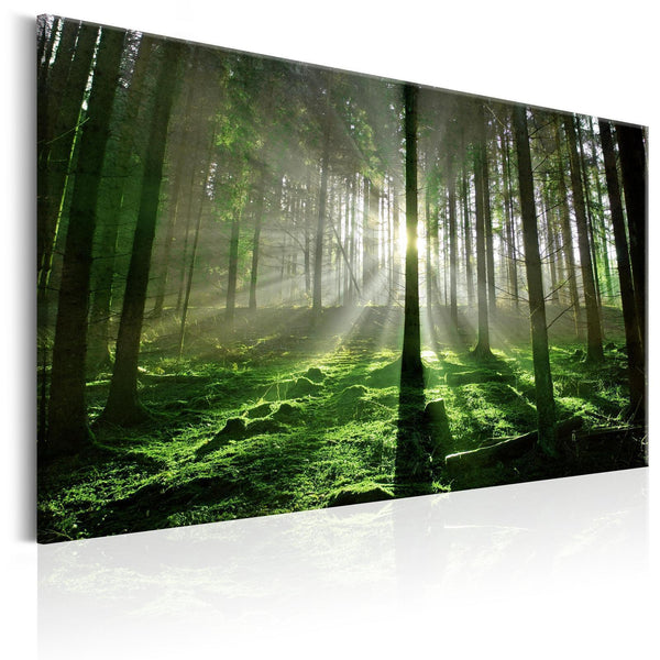 Canvas Tavla - Emerald Forest II-Tavlor-Artgeist-peaceofhome.se