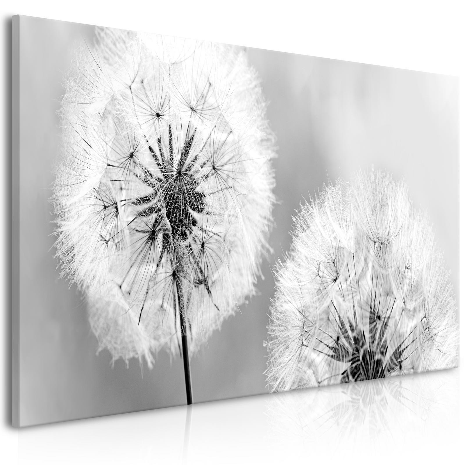 Canvas Tavla - Fluffy Dandelions Grey Wide-Tavlor-Artgeist-peaceofhome.se