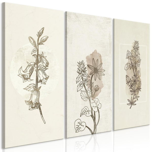 Canvas Tavla - Herbarium (3 delar)-Tavlor-Artgeist-peaceofhome.se
