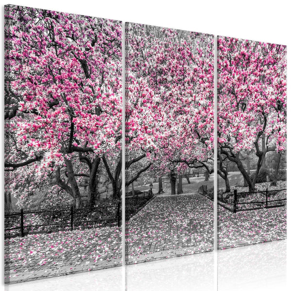 Canvas Tavla - Magnolia Park (3 delar) Pink-Tavla Canvas-Artgeist-peaceofhome.se