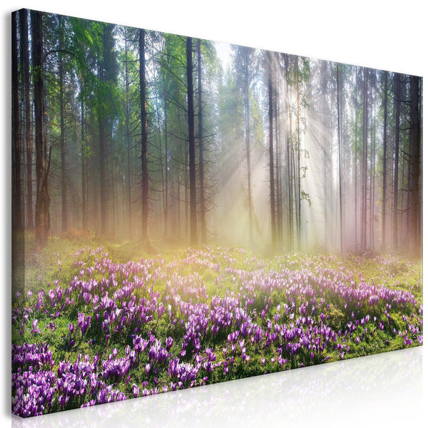 Canvas Tavla - Purple Meadow Wide-Tavlor-Artgeist-peaceofhome.se
