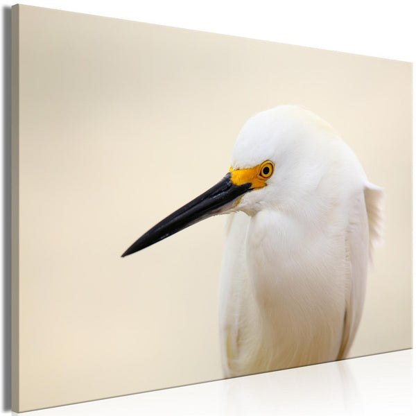 Canvas Tavla - Snowy Egret Wide-Tavla Canvas-Artgeist-peaceofhome.se