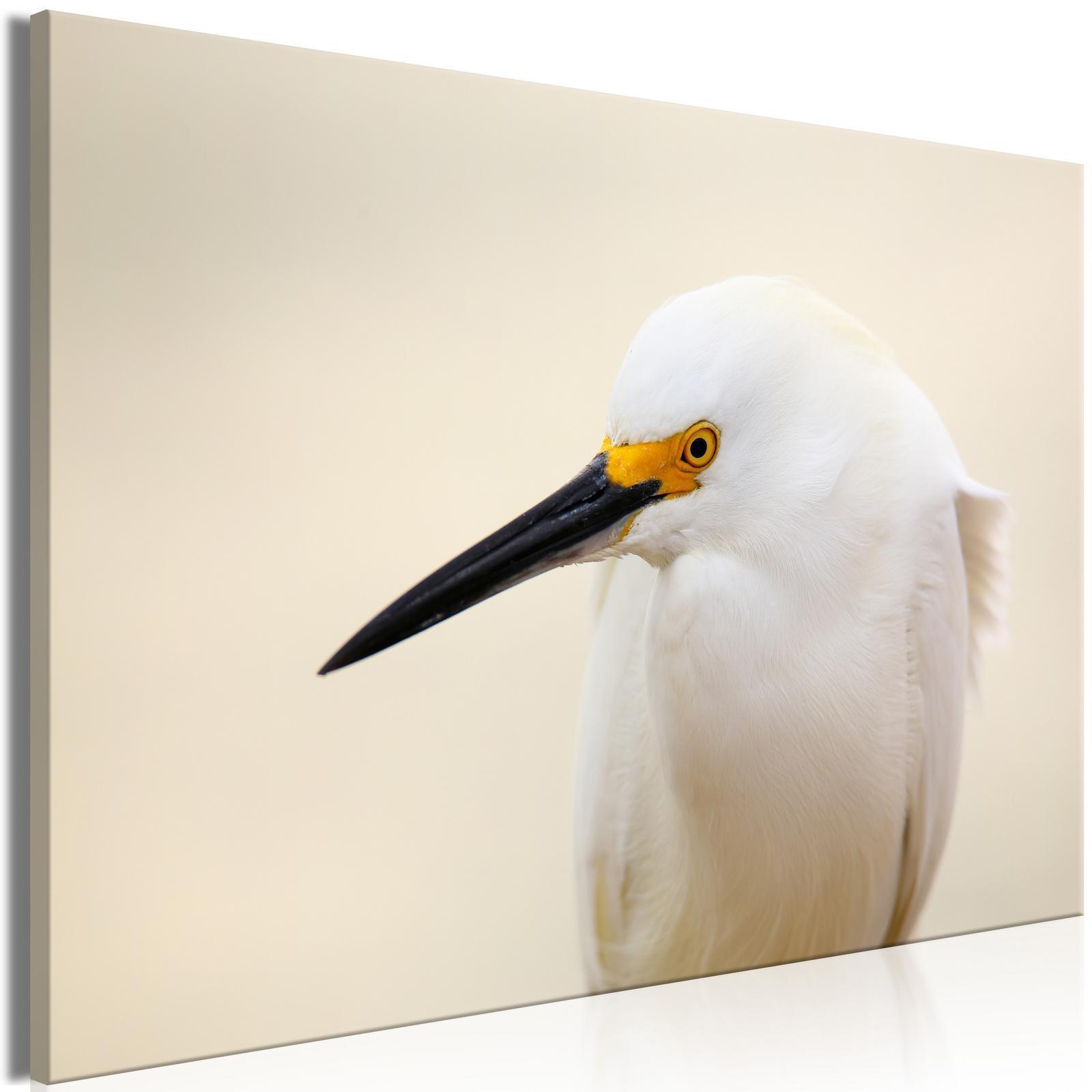 Canvas Tavla - Snowy Egret Wide-Tavlor-Artgeist-peaceofhome.se
