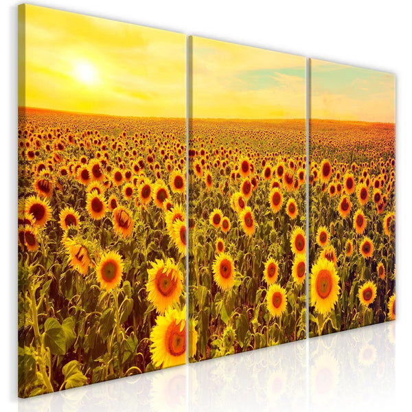 Canvas Tavla - Sunflowers at Sunset (3 delar)-Tavla Canvas-Artgeist-peaceofhome.se