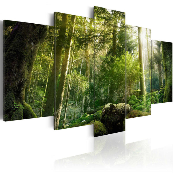Canvas Tavla - The Beauty of the Forest-Tavlor-Artgeist-peaceofhome.se
