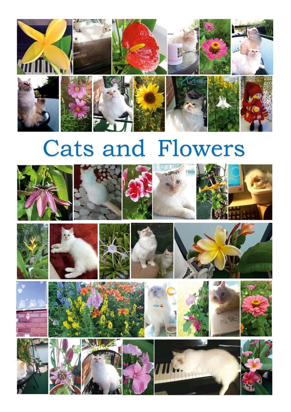 Cats and Flowers: 35 children song games – E-bok – Laddas ner-Digitala böcker-Axiell-peaceofhome.se