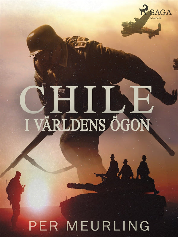 Chile i världens ögon – E-bok – Laddas ner-Digitala böcker-Axiell-peaceofhome.se