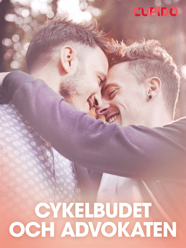 Cykelbudet och advokaten – E-bok – Laddas ner-Digitala böcker-Axiell-peaceofhome.se