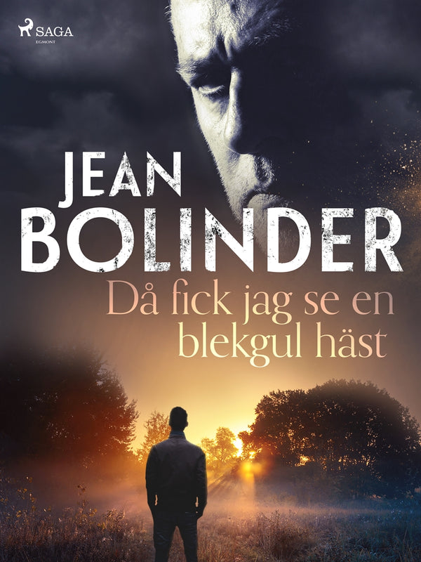 Då fick jag se en blekgul häst – E-bok – Laddas ner-Digitala böcker-Axiell-peaceofhome.se