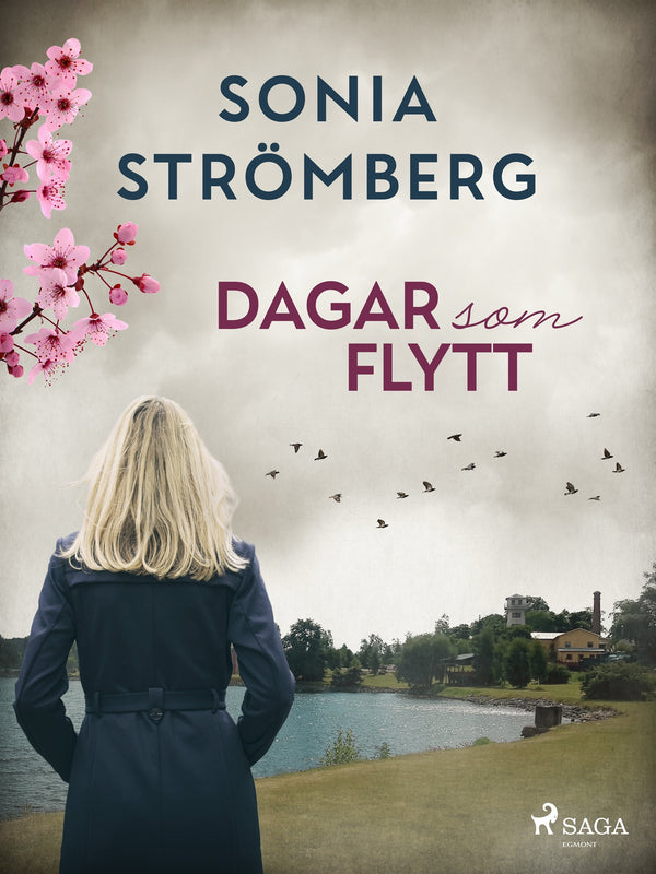 Dagar som flytt – E-bok – Laddas ner-Digitala böcker-Axiell-peaceofhome.se