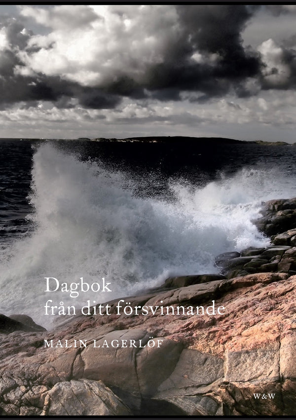 Dagbok från ditt försvinnande – E-bok – Laddas ner-Digitala böcker-Axiell-peaceofhome.se