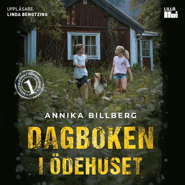 Dagboken i ödehuset – Ljudbok – Laddas ner-Digitala böcker-Axiell-peaceofhome.se