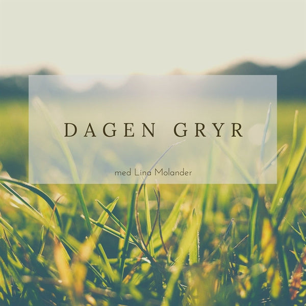 Dagen gryr – Ljudbok – Laddas ner-Digitala böcker-Axiell-peaceofhome.se