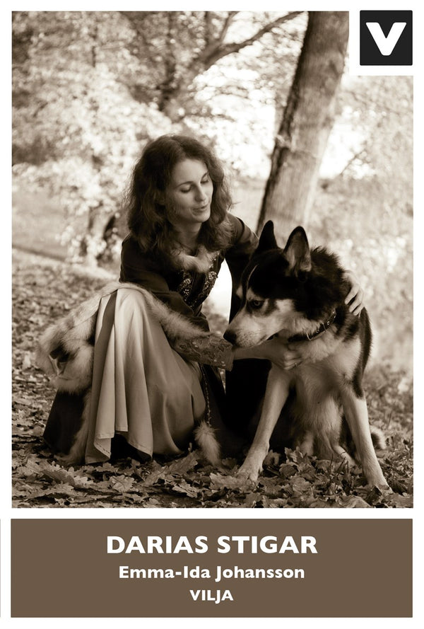 Darias stigar – Ljudbok – Laddas ner-Digitala böcker-Axiell-peaceofhome.se