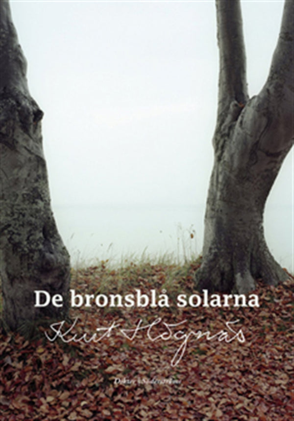 De bronsblå solarna – E-bok – Laddas ner-Digitala böcker-Axiell-peaceofhome.se
