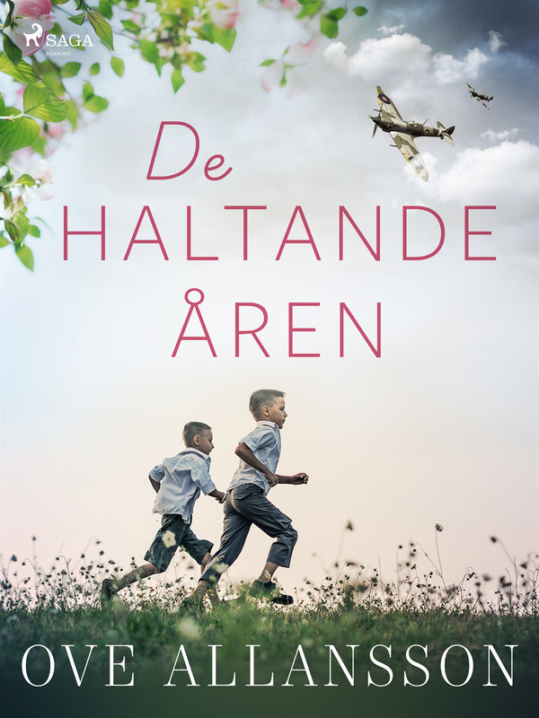 De haltande åren – E-bok – Laddas ner-Digitala böcker-Axiell-peaceofhome.se