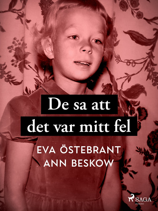 De sa att det var mitt fel-Digitala böcker-Axiell-peaceofhome.se