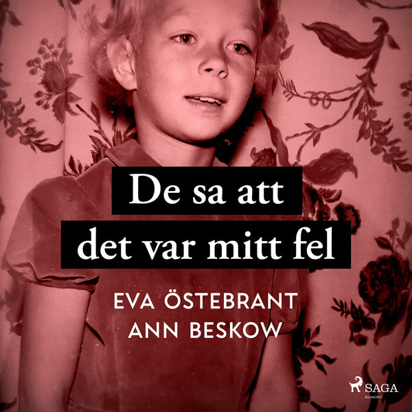 De sa att det var mitt fel – Ljudbok – Laddas ner-Digitala böcker-Axiell-peaceofhome.se