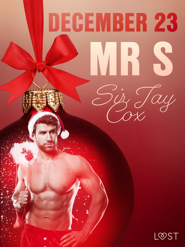 December 23: Mr S – An Erotic Christmas Calendar – E-bok – Laddas ner-Digitala böcker-Axiell-peaceofhome.se