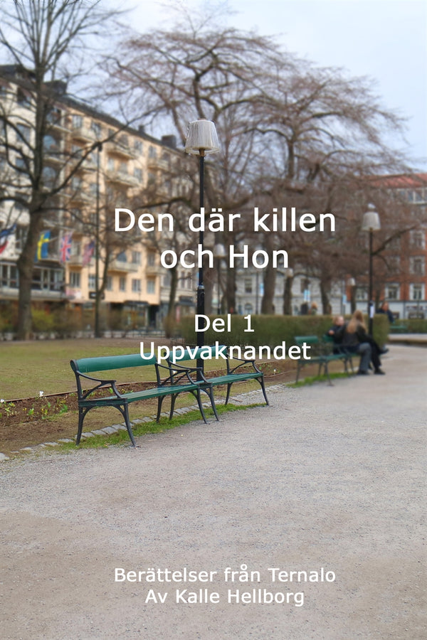 Den där killen och Hon - Uppvaknandet: Berättelser från Ternalo – E-bok – Laddas ner-Digitala böcker-Axiell-peaceofhome.se