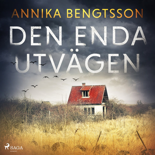 Den enda utvägen – Ljudbok – Laddas ner-Digitala böcker-Axiell-peaceofhome.se