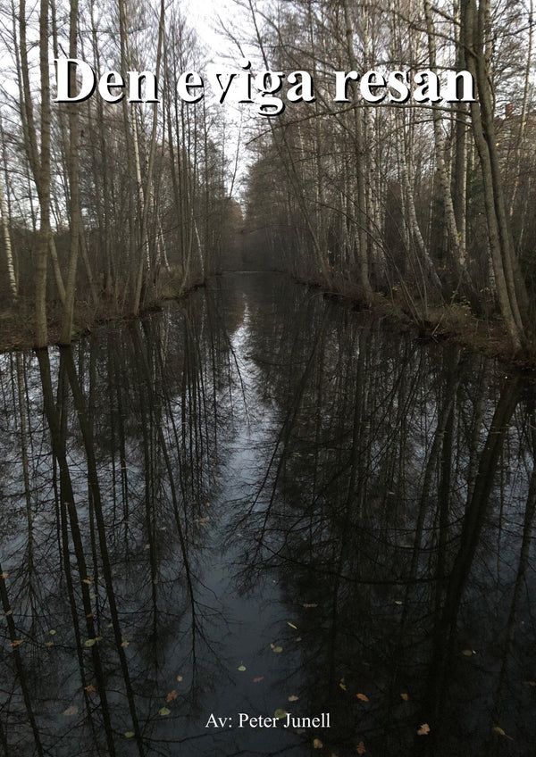 Den eviga resan – E-bok – Laddas ner-Digitala böcker-Axiell-peaceofhome.se