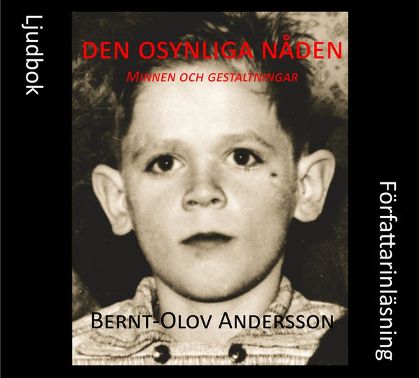 Den osynliga nåden – Ljudbok – Laddas ner-Digitala böcker-Axiell-peaceofhome.se
