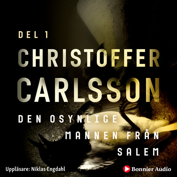 Den osynlige mannen från Salem – Ljudbok – Laddas ner-Digitala böcker-Axiell-peaceofhome.se