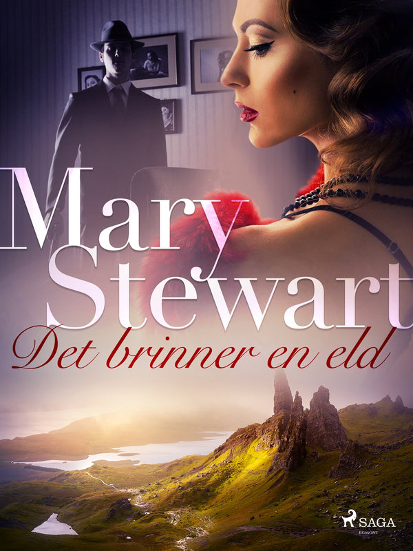 Det brinner en eld – E-bok – Laddas ner-Digitala böcker-Axiell-peaceofhome.se
