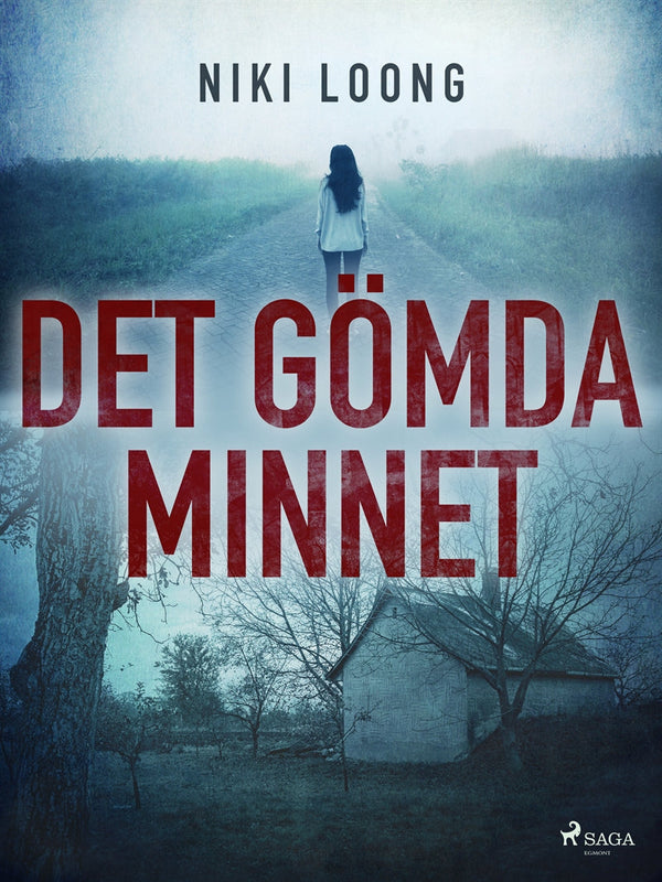 Det gömda minnet – E-bok – Laddas ner-Digitala böcker-Axiell-peaceofhome.se