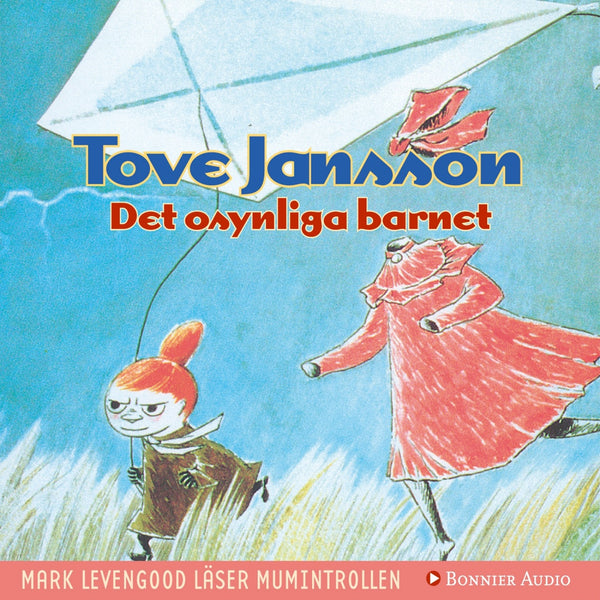 Det osynliga barnet – Ljudbok – Laddas ner-Digitala böcker-Axiell-peaceofhome.se