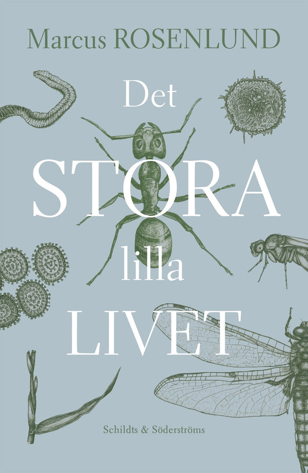 Det stora lilla livet – E-bok – Laddas ner-Digitala böcker-Axiell-peaceofhome.se