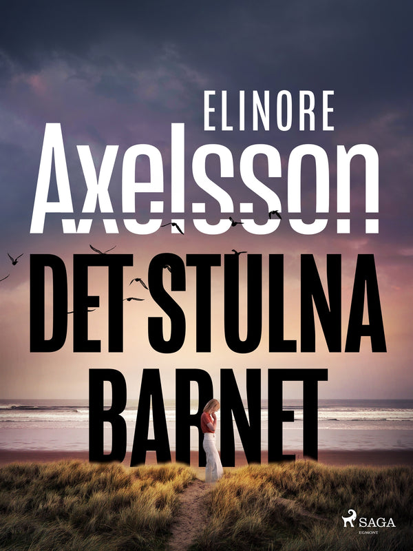 Det stulna barnet – E-bok – Laddas ner-Digitala böcker-Axiell-peaceofhome.se