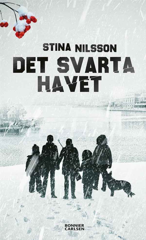 Det svarta havet – E-bok – Laddas ner-Digitala böcker-Axiell-peaceofhome.se