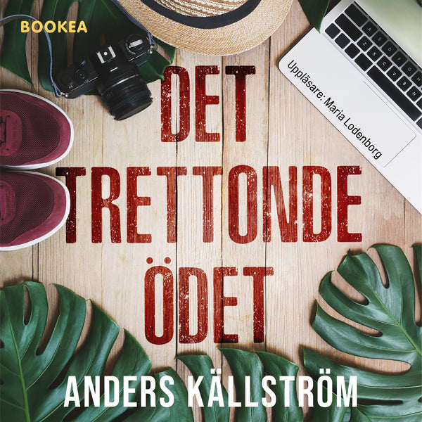 Det trettonde ödet – Ljudbok – Laddas ner-Digitala böcker-Axiell-peaceofhome.se