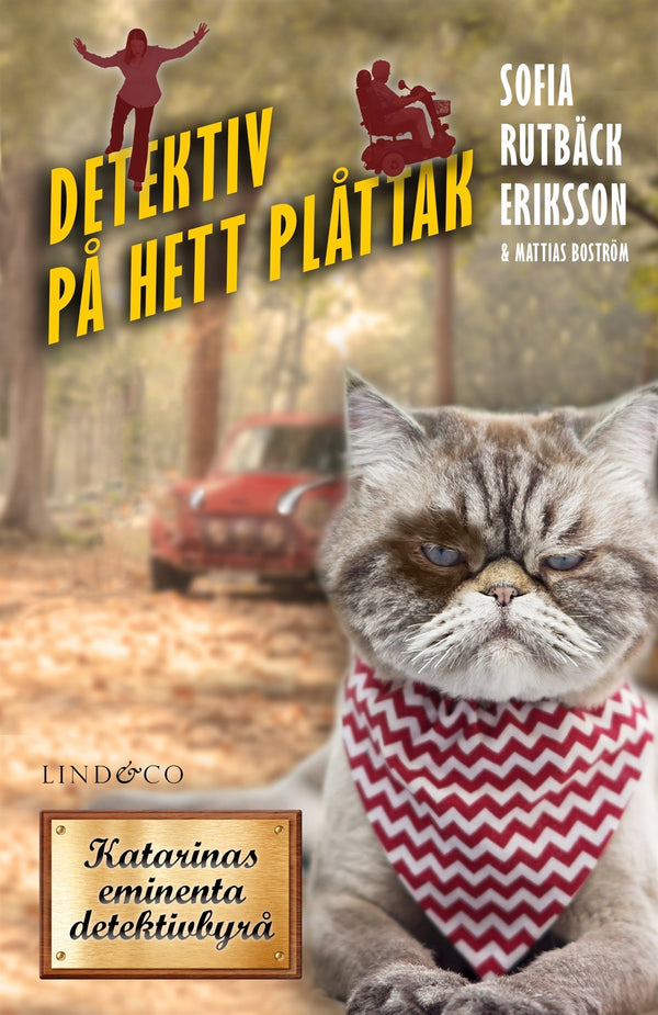 Detektiv på hett plåttak – E-bok – Laddas ner-Digitala böcker-Axiell-peaceofhome.se