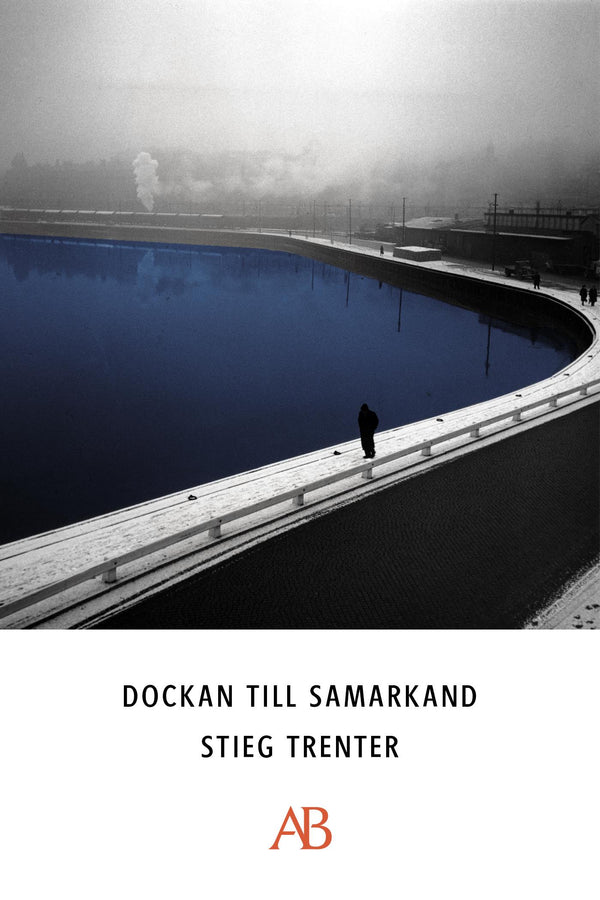 Dockan till Samarkand : en detektivroman – E-bok – Laddas ner-Digitala böcker-Axiell-peaceofhome.se