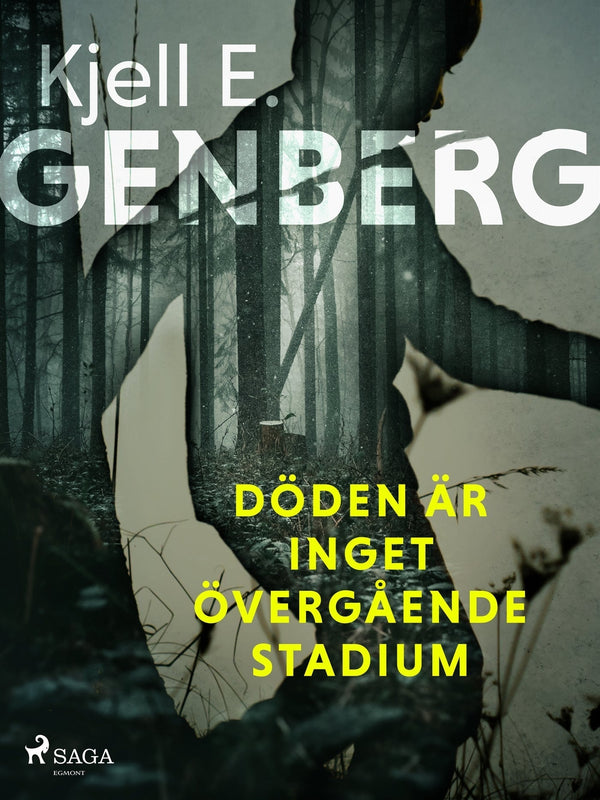 Döden är inget övergående stadium – E-bok – Laddas ner-Digitala böcker-Axiell-peaceofhome.se