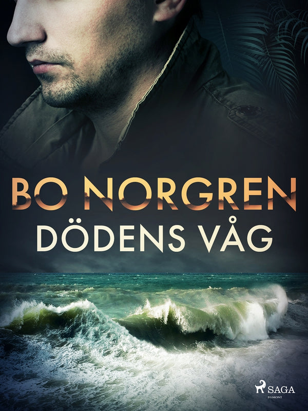 Dödens våg – E-bok – Laddas ner-Digitala böcker-Axiell-peaceofhome.se
