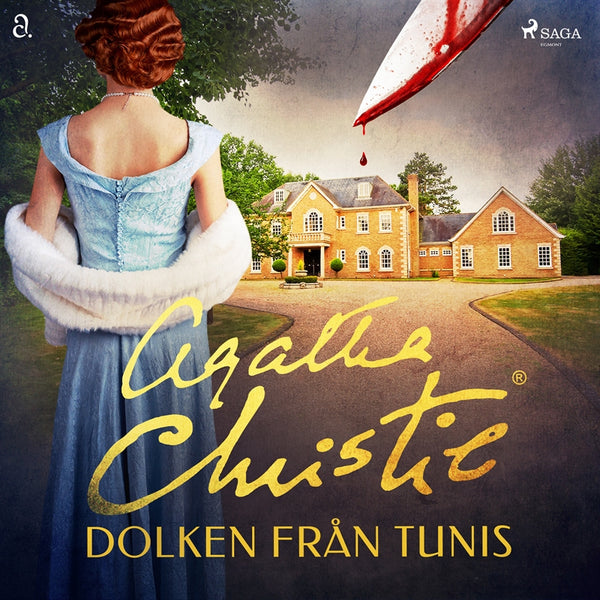 Dolken från Tunis – Ljudbok – Laddas ner-Digitala böcker-Axiell-peaceofhome.se