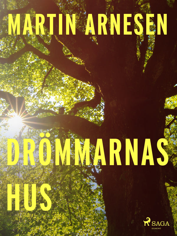 Drömmarnas hus – E-bok – Laddas ner-Digitala böcker-Axiell-peaceofhome.se