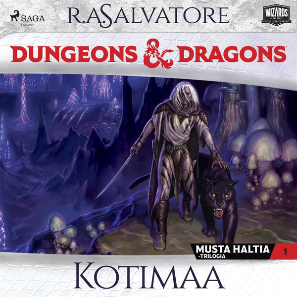 Dungeons &amp; Dragons – Drizztin legenda: Kotimaa – Ljudbok – Laddas ner-Digitala böcker-Axiell-peaceofhome.se