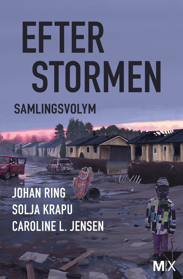 Efter stormen – E-bok – Laddas ner-Digitala böcker-Axiell-peaceofhome.se