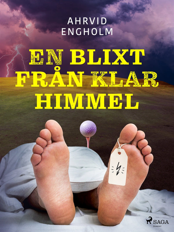 En blixt från klar himmel – E-bok – Laddas ner-Digitala böcker-Axiell-peaceofhome.se