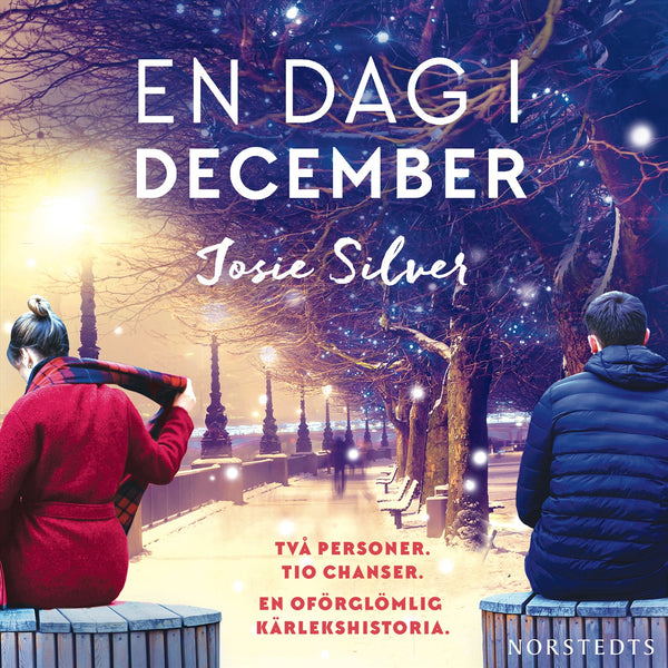 En dag i december – Ljudbok – Laddas ner-Digitala böcker-Axiell-peaceofhome.se