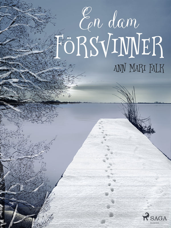 En dam försvinner – E-bok – Laddas ner-Digitala böcker-Axiell-peaceofhome.se