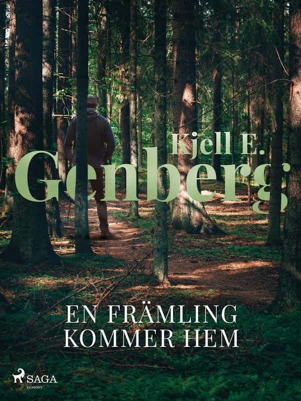 En främling kommer hem – E-bok – Laddas ner-Digitala böcker-Axiell-peaceofhome.se